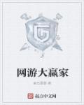 大赢家电子游戏平台