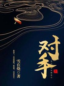 对手大结局