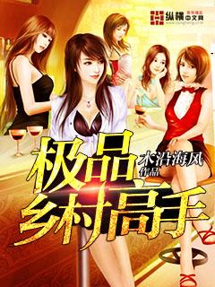 乡村极品髙手