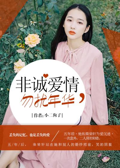 非诚勿扰片花