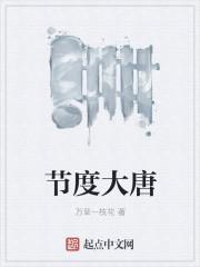 唐朝的节度使相当于现在的什么官职