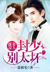封少盛宠宝贝妻免费