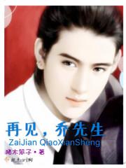 再见x先生大结局什么意思