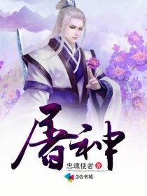 屠神者接口卡