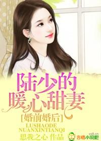 陆少的暖婚新妻隐婚甜妻