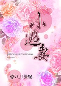 小逃妻晋江
