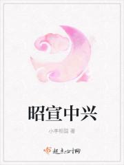 昭宣中兴是谁提出来的