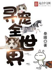 寻宠公司一般怎么收费