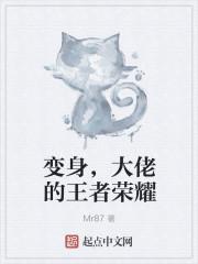王者荣耀变身系统的